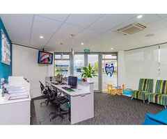 Dentist in Mount Roskill